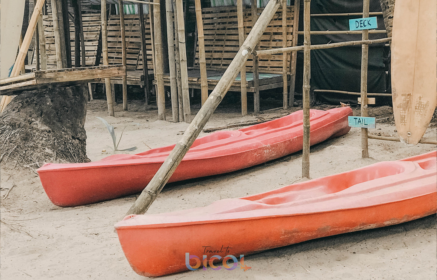 Sun, Sand, and Sea Adventure: A One-Day Island Escape