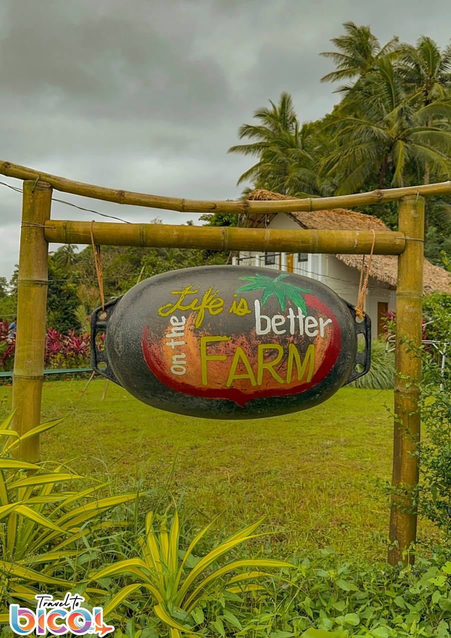 Camp Burabod Farmstead: A Hidden Gem in Rural Sorsogon