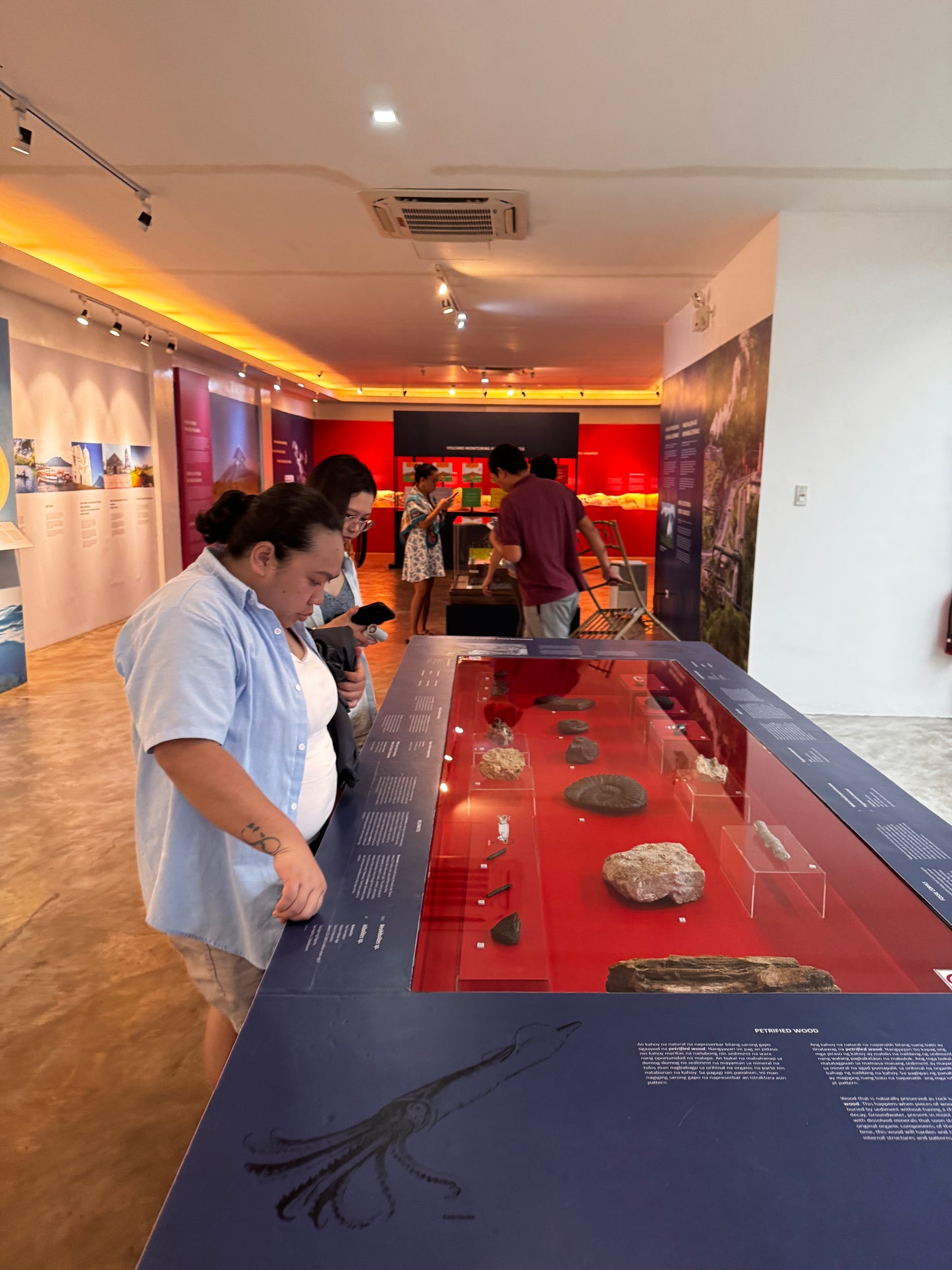 Mayon Scenic Adventure & Cultural Highlights