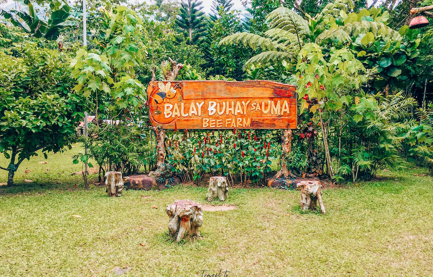 Sun, Sand, and Sea Adventure: A One-Day Island Escape